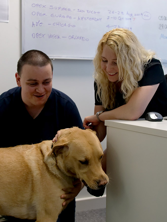A smiling man and woman in an office stroking a dog